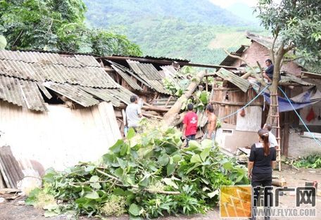 河口县瑶山乡遭遇史上最强暴风雨灾害图片