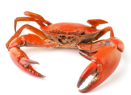 t01ba943e51c3962ea1.jpg?size=640x466